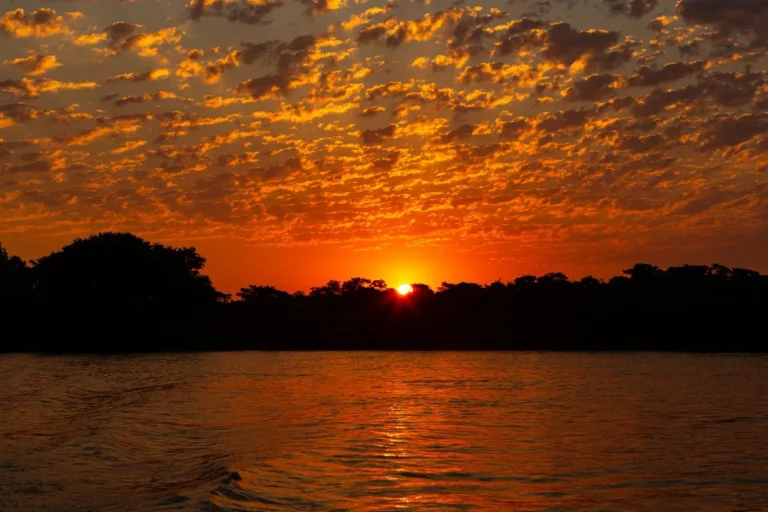 hermosa-puesta-sol-norte-pantanal-humedales-mas-grandes-mundo-brasil-salvaje-vida-silvestre-brasilena-naturaleza-paisaje-increible-junto-al-rio-junto-al-barco